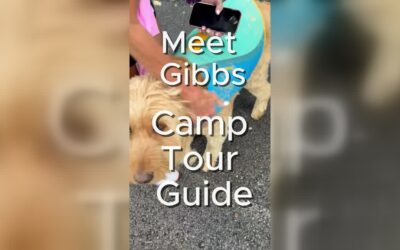 Meet Your Camp Friendship Tour Guide: Gibbs!