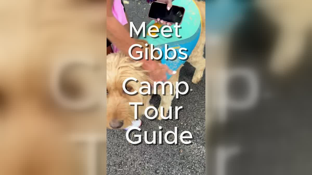 camp tour with gibbs featured